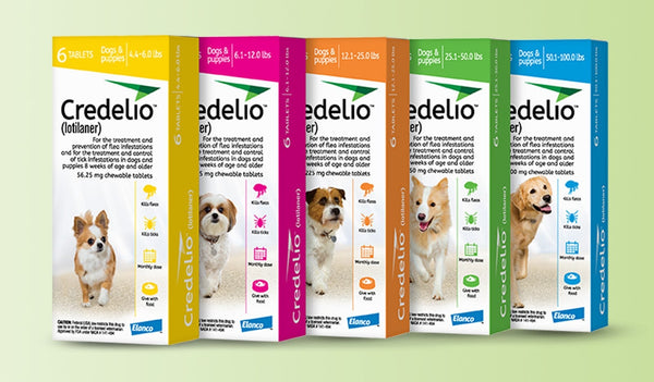 Credelio Chewable Tablets for Dogs Pack of 6 Prescription Required Vetscriptions