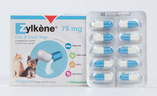 Zylkene 75 mg 100 Capsules – My Dr. XM
