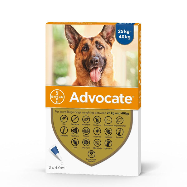 Buy Advocate For Dogs VetScriptions Vetscriptions