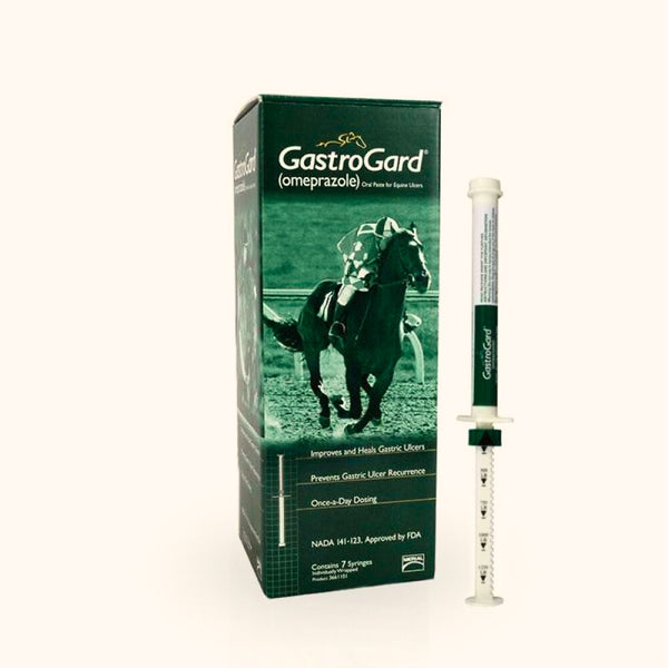 Gastrogard Syringe (Prescription Required) – Vetscriptions