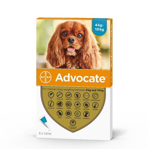 Buy Advocate For Dogs  VetScriptions – Vetscriptions